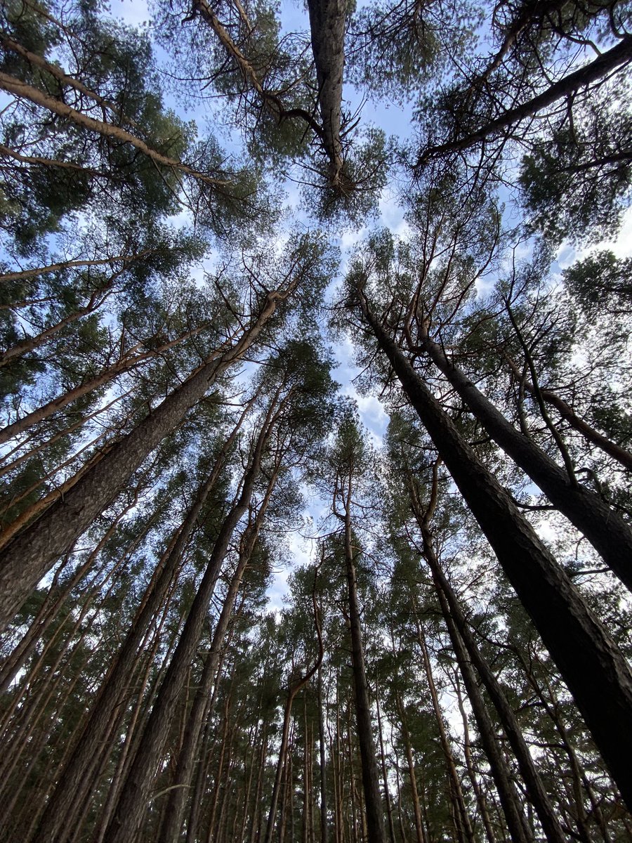 EmmanuelMignot2's tweet photo. À la rencontre des professionnels 🇫🇷 🇪🇪 de la forêt et du bois. 🌳 Ils innovent et réalisent une part importante du commerce. @investestonia #ForetDurable https://t.co/8Er8CauuLJ
