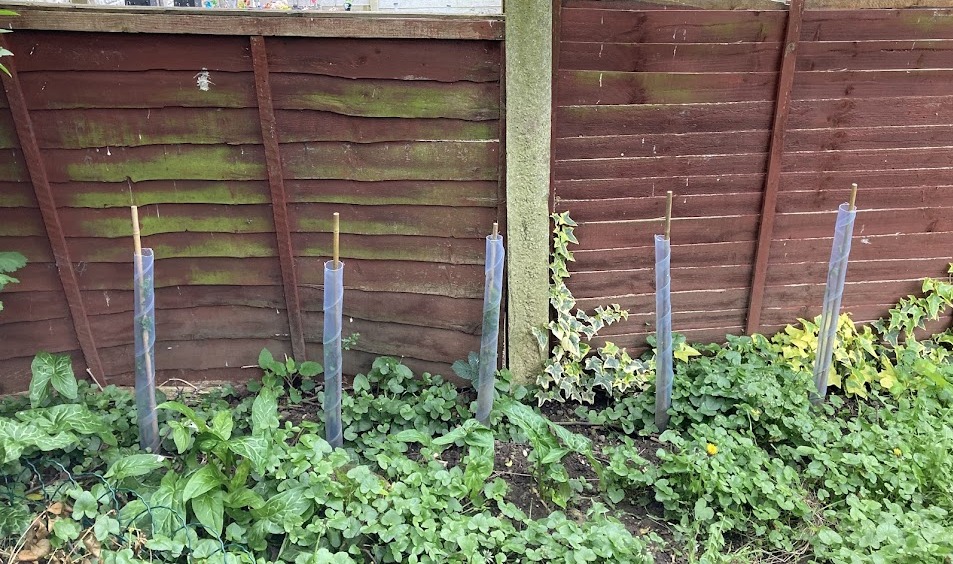 The past few months, many of our residents have taken advantage of our Free Tree Giveaway to plant their own hedgerows & help create their own garden greenery! To keep upto date with all future free tree giveaway schemes – sign up to our green team email: yourlifedoncaster.co.uk/News/national-…