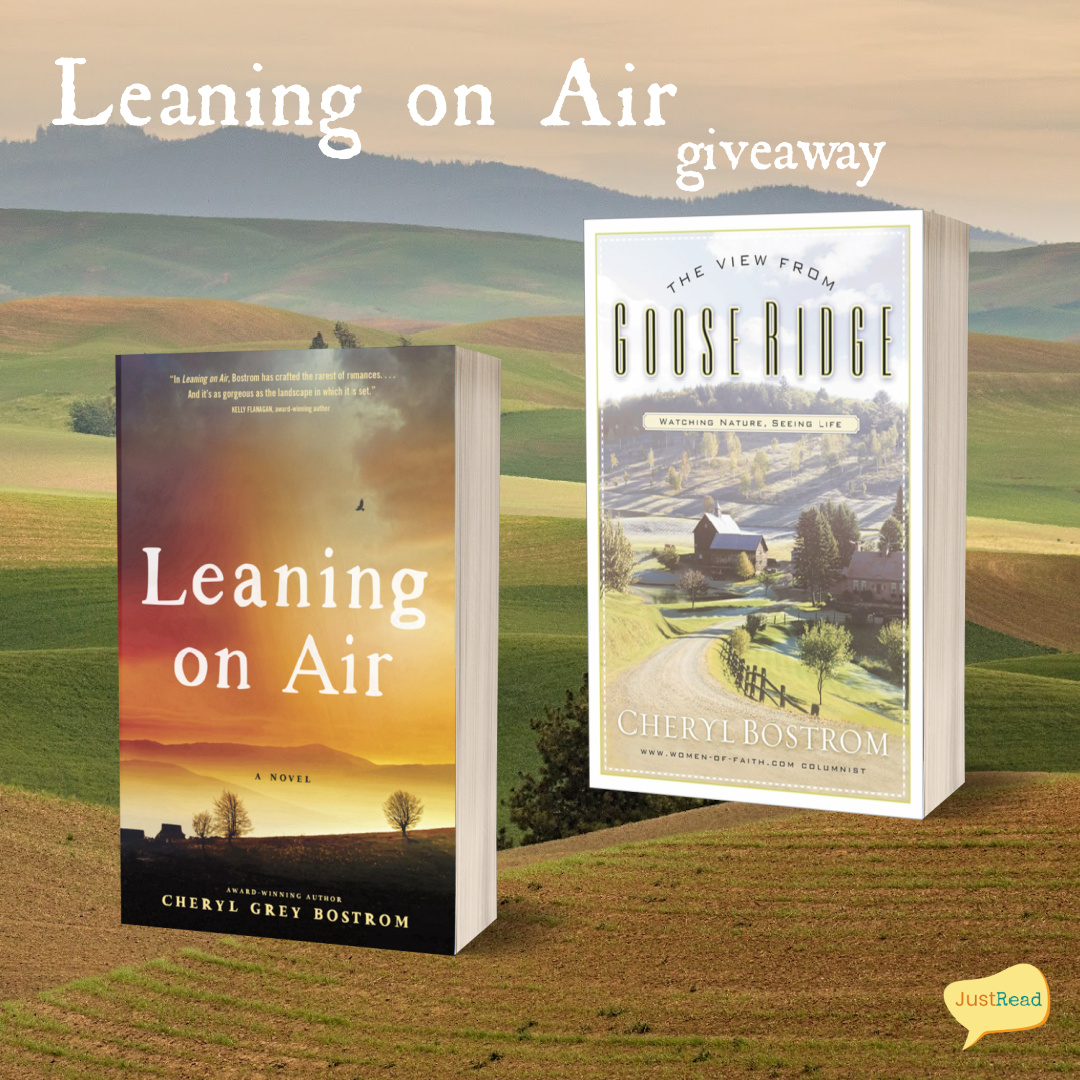 When I first started Leaning on Air by Cheryl Grey Bostrom, but as I continued with this story, there was so much more that I loved about it. Find out all about the book at bit.ly/44Bbqju