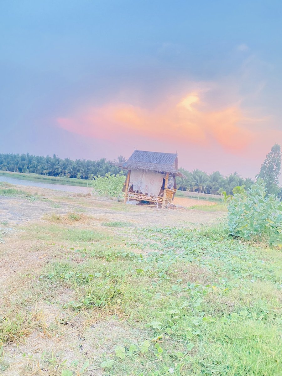 วันศุกร์อยากจุกคับ