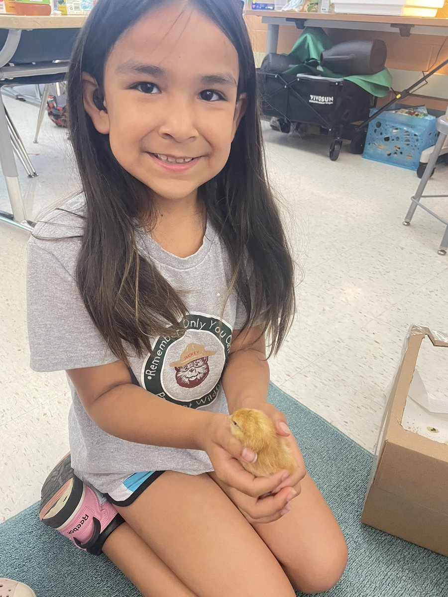 Ms Cleer’s Class tweet media