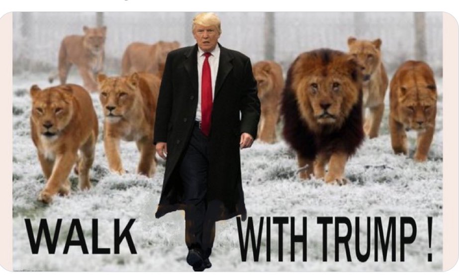 @TonemanLives ToneMan Rules ! 
We all gather to support the President we love ❤️. 
United We Stand… To save America 🇺🇸 
He walks with Lions and Slays those who are Evil Traitors.