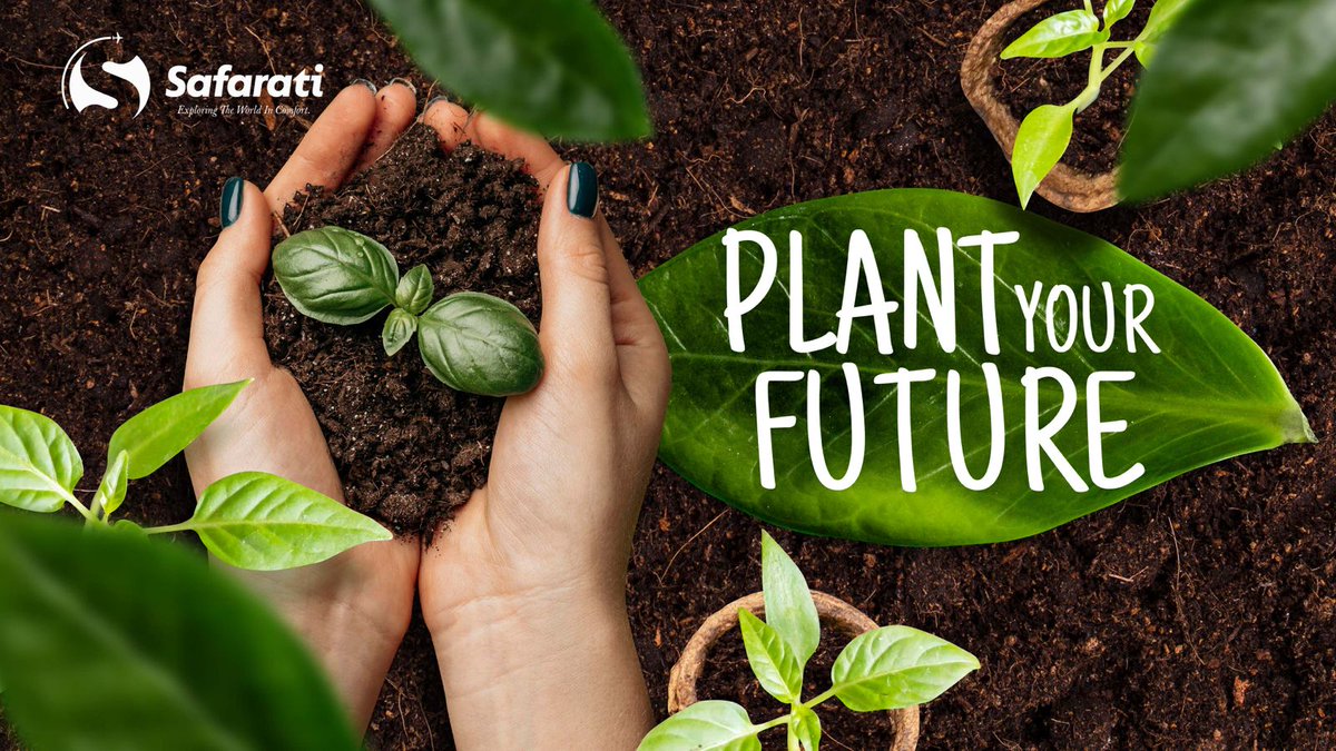 SafaratiGlobal's tweet photo. Planting a tree 🌳 today so that we can be part of the solution to combat climate change. The #future depends on us.
#TreePlantingDay #trees #safarati #TreePlanting https://t.co/UBOS2XcomI