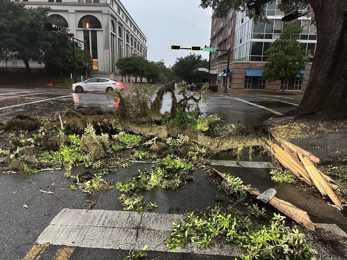 There are a bunch of downed tree limbs in downtown Tallahassee, power & traffic signals are out.