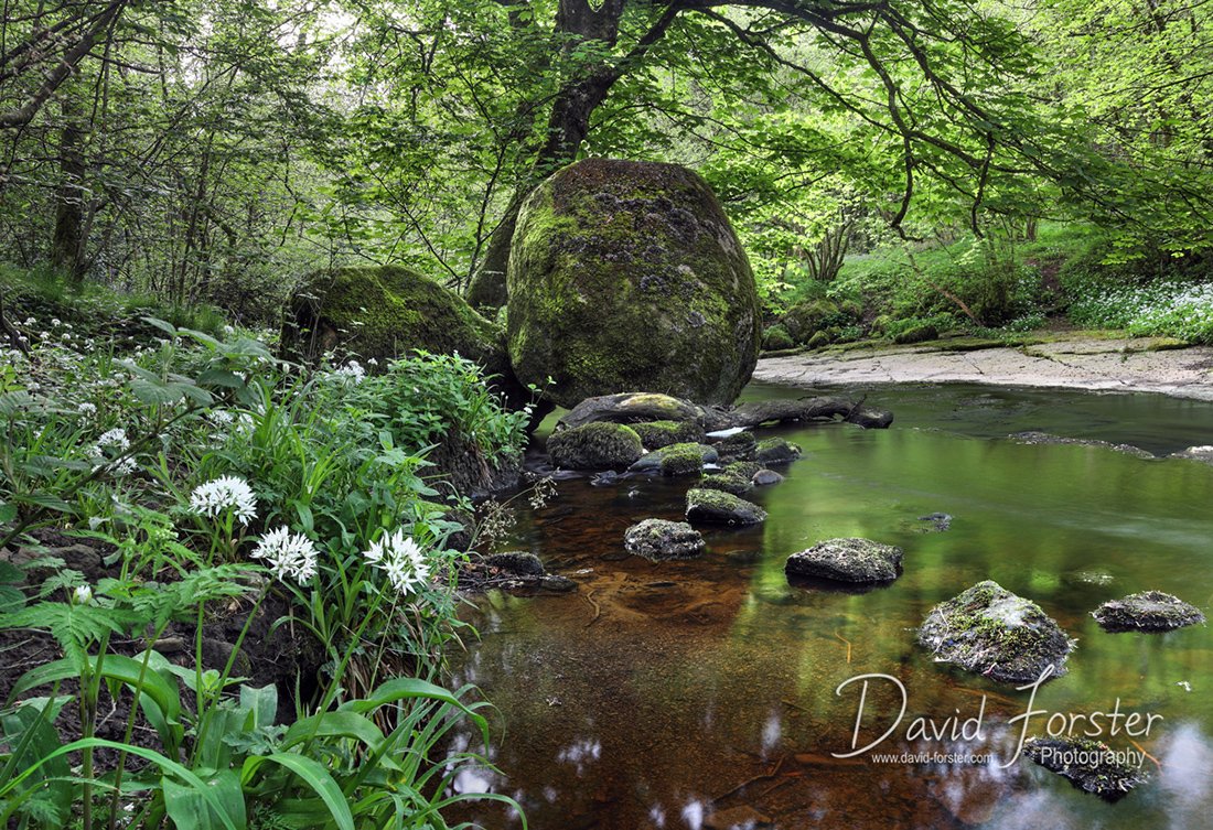 The Great Stone in Deepdale this morning. This erratic boulder of pink Shap granite was brought over the Pennines by glacial action during the last ice age.
#Teesdale #erratic #geology #iceage #CountyDurham #durhamdales #landscapephotography #spring #Deepdale

11 m