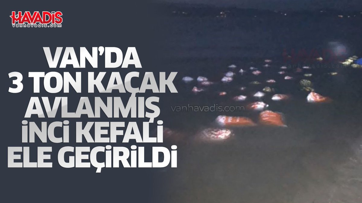 Van’ın Erciş ilçesinde 3 ton kaçak avlanmış inci kefali balığı ele geçirildi. vanhavadis.com/haber/20138537…