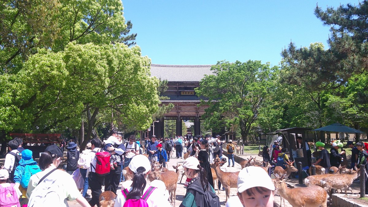 奈良の古寺巡礼
東大寺・興福寺・薬師寺・唐招提寺に
法隆寺は無理だった。達成率8割。
東大寺は観光客と鹿でごった返してた。