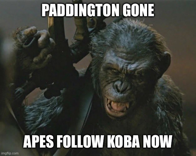 Leonardo Dicaprio Crumbled Under my Wrath tweet media