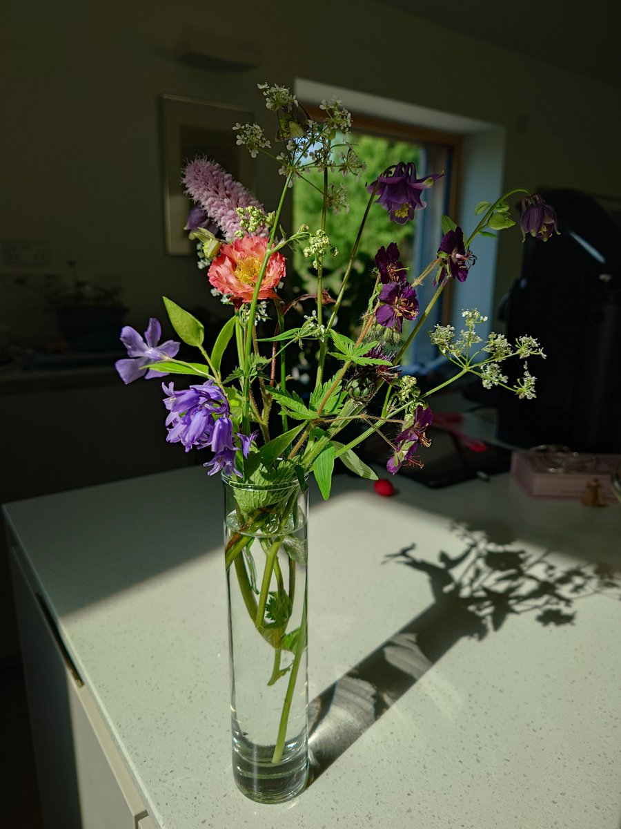 Spring flowers in a vase .....

#fridayflowers