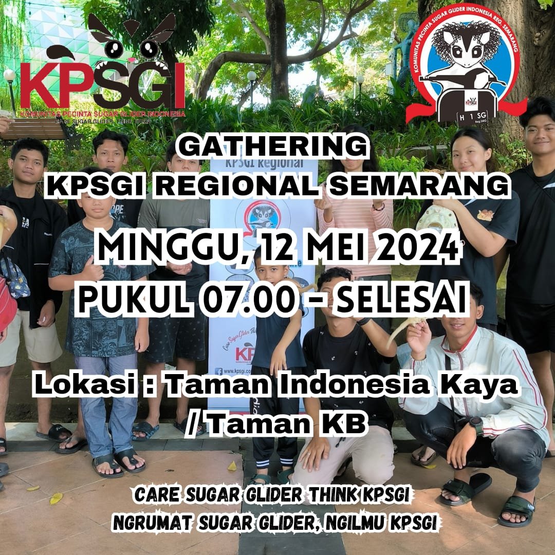 Kita ada gathering lagi nih
Ajak teman, pacar, atau saudara boleh 
Tempat :Taman Indonesia Kaya/ Taman KB
Hari : Minggu 12 Mei 2024 
Jam : 07.00 WIB - Selesai

Care Sugar Glider, Think KPSGI 
Ngrumat Sugar Glider, Ngilmu KPSGI
#kpsgi #csgtkpsgi #sugarglider #smg #kpsgiregsemarang