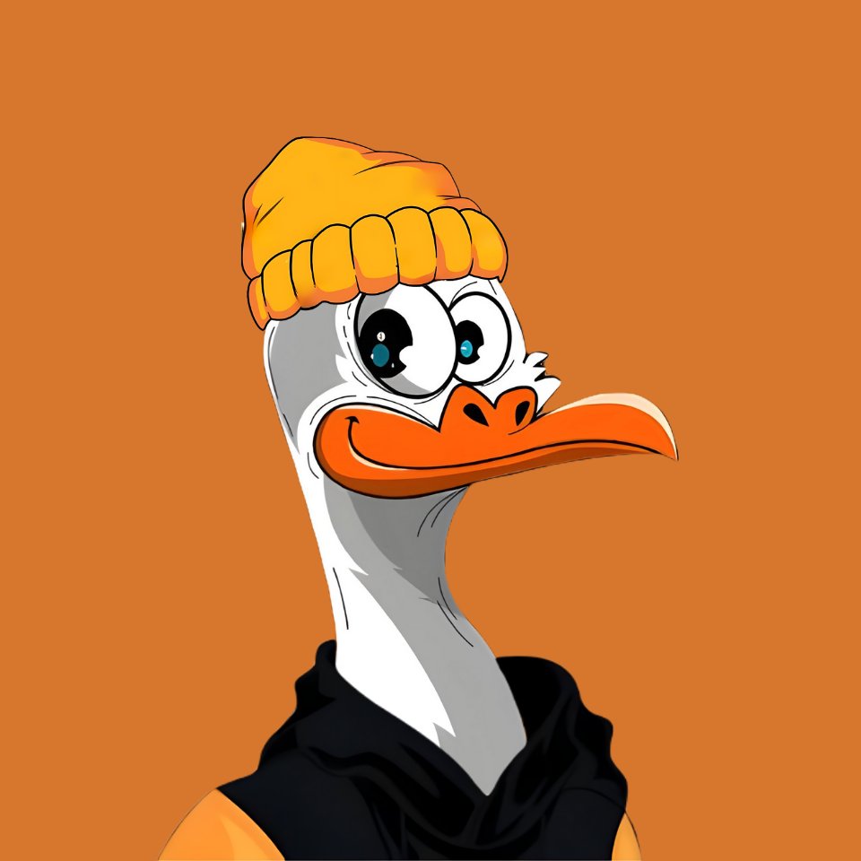 Its time to build! 👀