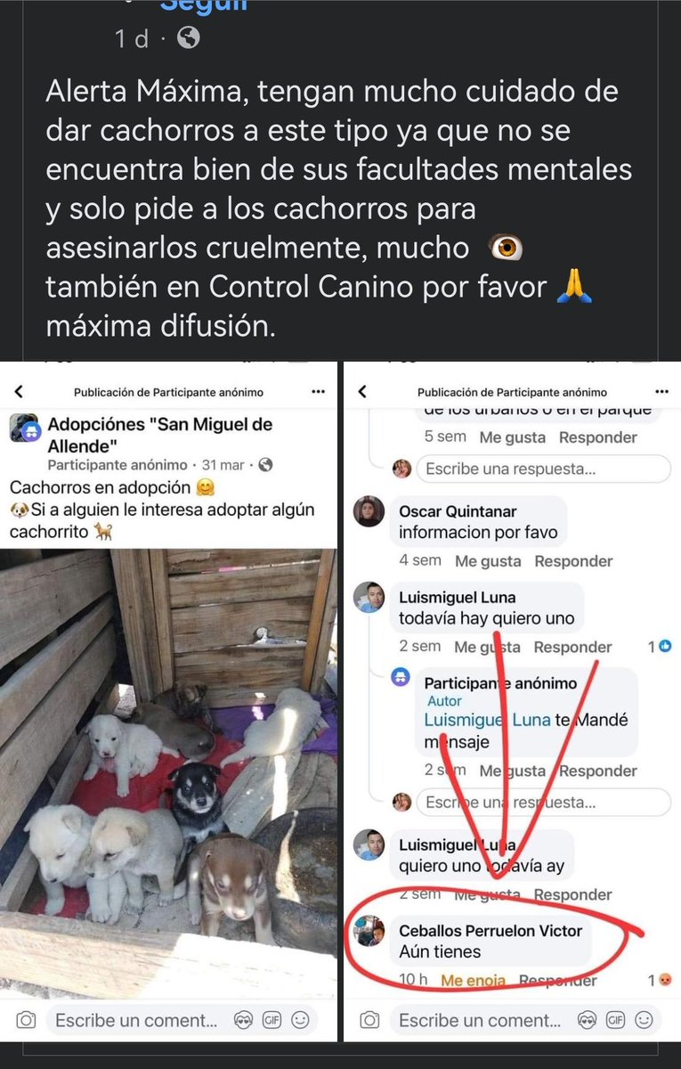 Cuidado con este tipo, es camionero de San Miguel De Allende y le gusta adoptar cachorros o animales en adopción para después matarlos cruelmente, necesitamos qué allá una ley en Guanajuato para tratar a este tipo de gente y tengan su respectiva sanción. #sanmigueldeallende #vira