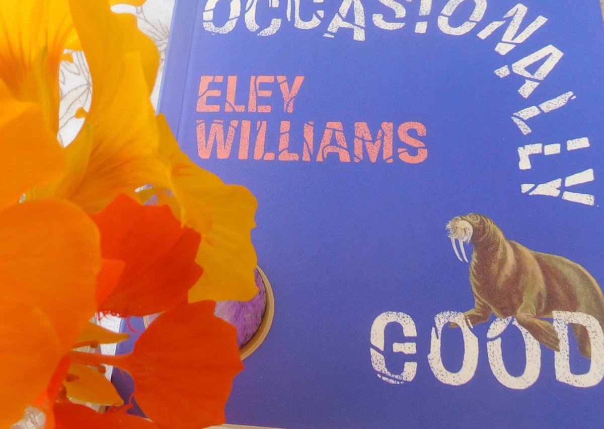 Everything's coming up ... walruses! We are so lucky to have Eley Williams and her joyful experimentation - I'm excited to read her new short story collection - Moderate to Poor, Occasionally Good @GiantRatSumatra @KishWidyaratna @4thEstateBooks