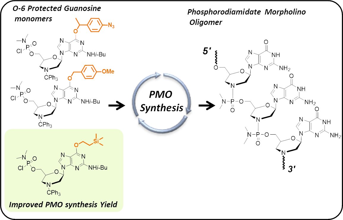 The effort continues to improve the synthesis of antisense morpholino oligos and we are still on it!😁 Check out our recent report in SynLett @thiemechemistry ✌: 'Evaluation of Transiently O-6 Protected Guanosine Morpholino Nucleosides in PMO Synthesis.' doi.org/10.1055/a-2322…
