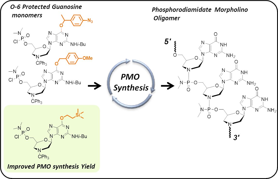 The Morpholino Group (@morpholinolab) on Twitter photo The effort continues to improve the synthesis of antisense morpholino oligos and we are still on it!😁 Check out our recent report in SynLett <a href="/thiemechemistry/">Chemistry at Thieme</a> ✌: "Evaluation of Transiently O-6 Protected Guanosine Morpholino Nucleosides in PMO Synthesis."
doi.org/10.1055/a-2322… The effort continues to improve the synthesis of antisense morpholino oligos and we are still on it!😁 Check out our recent report in SynLett <a href="/thiemechemistry/">Chemistry at Thieme</a> ✌: "Evaluation of Transiently O-6 Protected Guanosine Morpholino Nucleosides in PMO Synthesis."
doi.org/10.1055/a-2322…