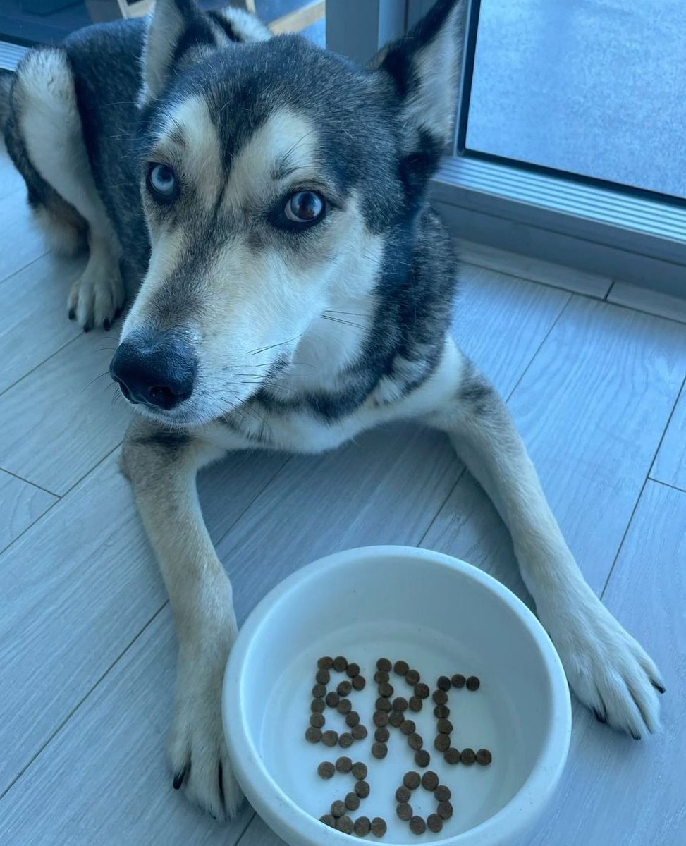 btc_bitcin's tweet image. 