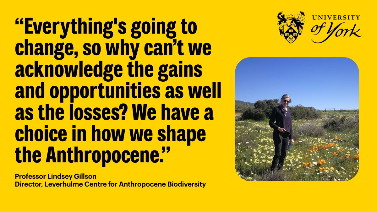 Can biodiversity change be positive? Is planting trees always the answer? Lindsey Gillson, the new Director of @AnthropoceneBio, answers questions about her approach to conservation and sustainability in the Anthropocene: tinyurl.com/yckbmj8h #YorkResearch