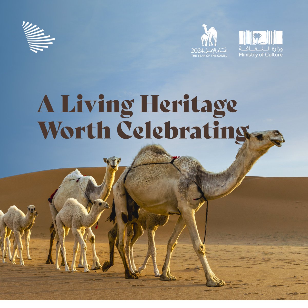 CICSaudi's tweet photo. It’s not everyday that we celebrate camels, except in 2024 because it’s #TheYearOfTheCamel2024 and rightly so. @MOCSaudi found some creative ways to spread the celebrations to people. https://t.co/6nla34OwAu