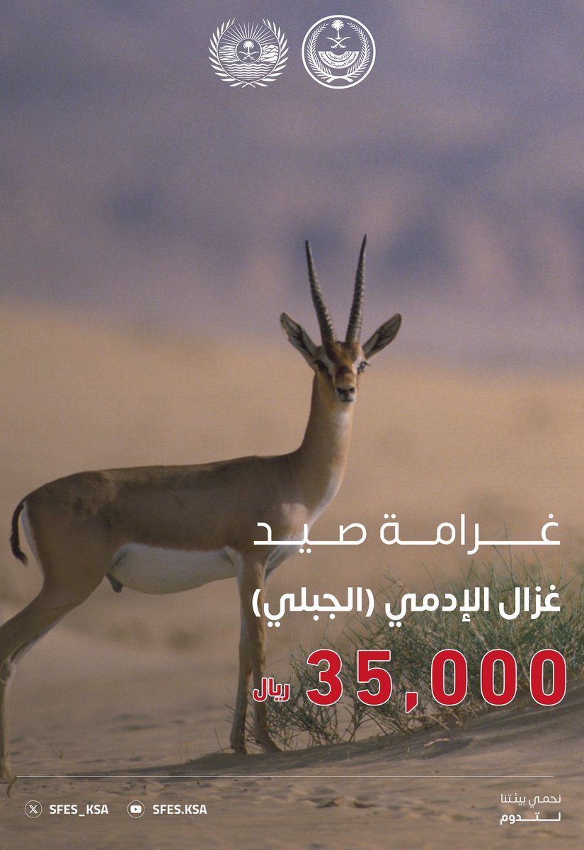 تبلغ عقوبة صيد غزال الإدمي (الجبلي) (35,000) ﷼. #الأمن_البيئي