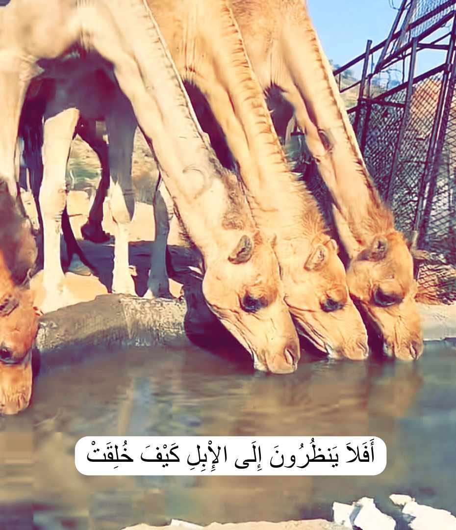 طابت جمعتكم بذكر الله
والصلاة على رسول الله