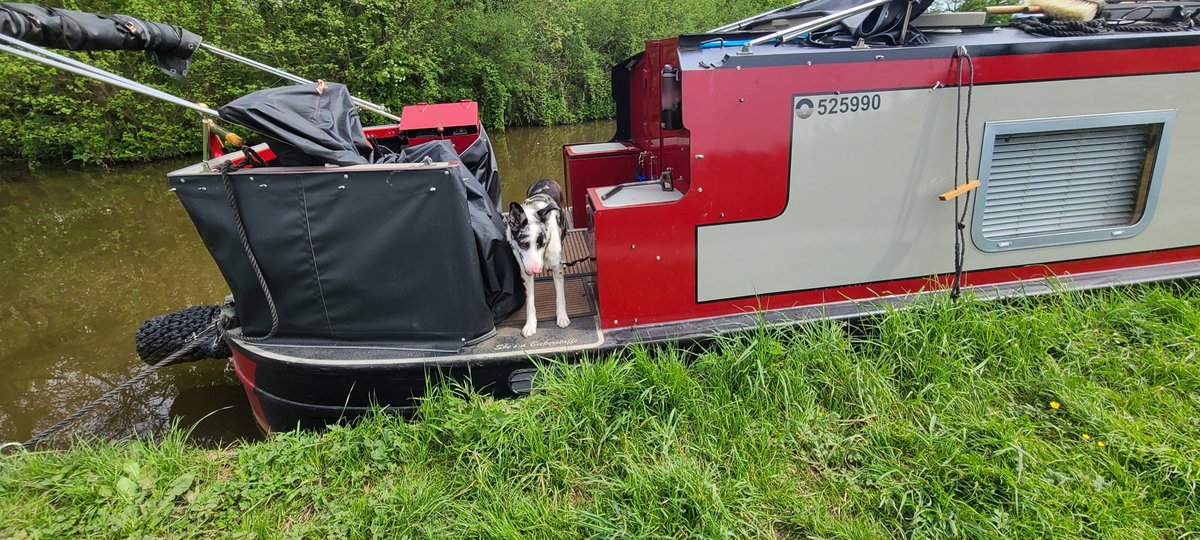 This will do for me
🌞🌞🤠🤠🐕🐕

✅️Full sun
✅️Wifi
✅️Good towpath

#boatsthattweet