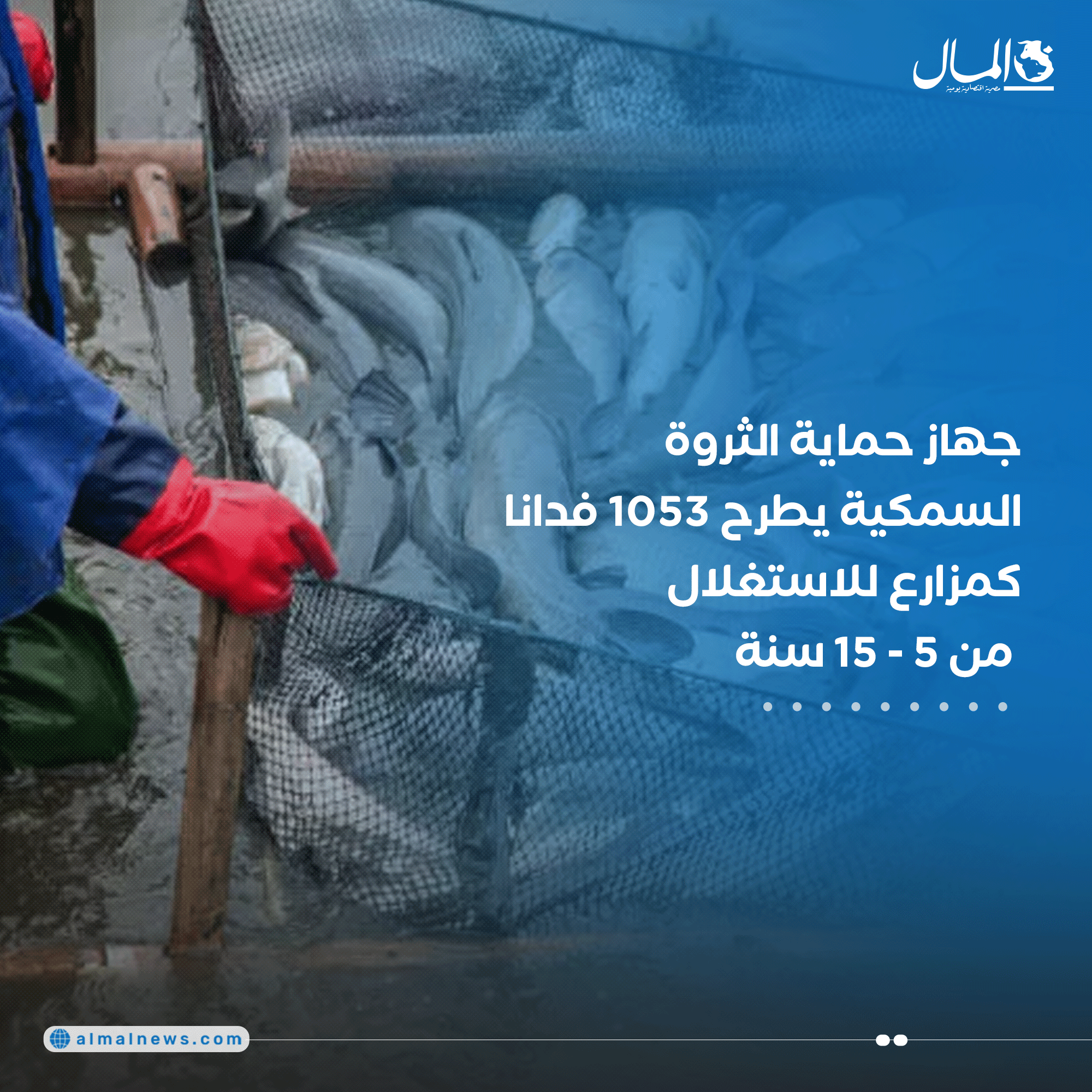 جهاز حماية الثروة السمكية يطرح 1053 فدانا كمزارع للاستغلال من 5 - 15 سنة. للتفاصيل 