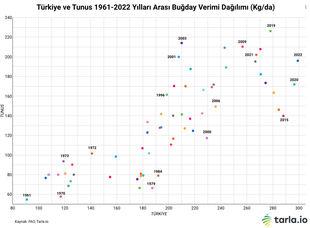 Türkiye Buğday Verimi (1961-2022): Ortalama verim: 199 kg/da En düşük verim: 91 kg/da (1961) En yüksek verim: 299 kg/da (2022) Tunus Buğday Verimi (1961-2022): Ortalama verim: 131 kg/da En düşük verim: 55 kg/da (1961) En yüksek verim: 226 kg/da (2022) 🌾📈#BuğdayVerimi #Tarlaio