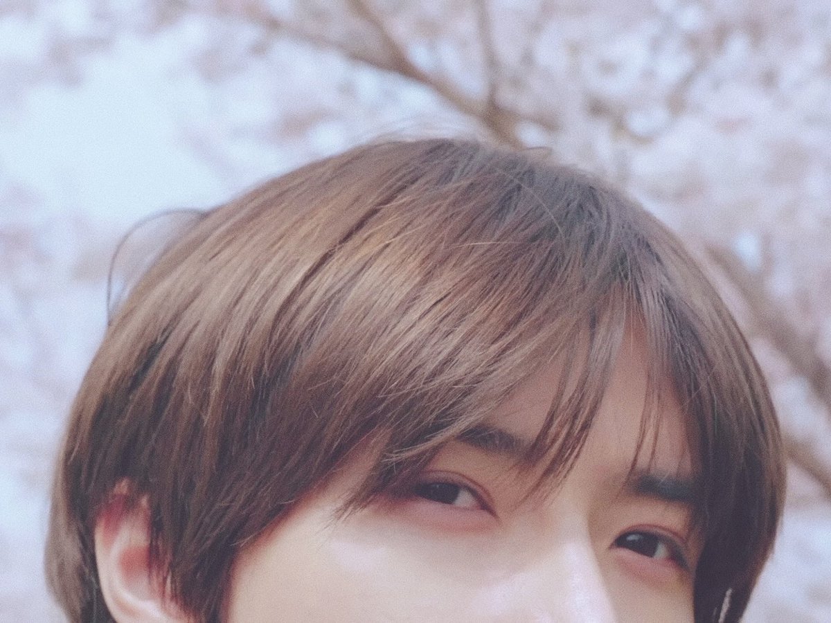 파니🍀 tweet media