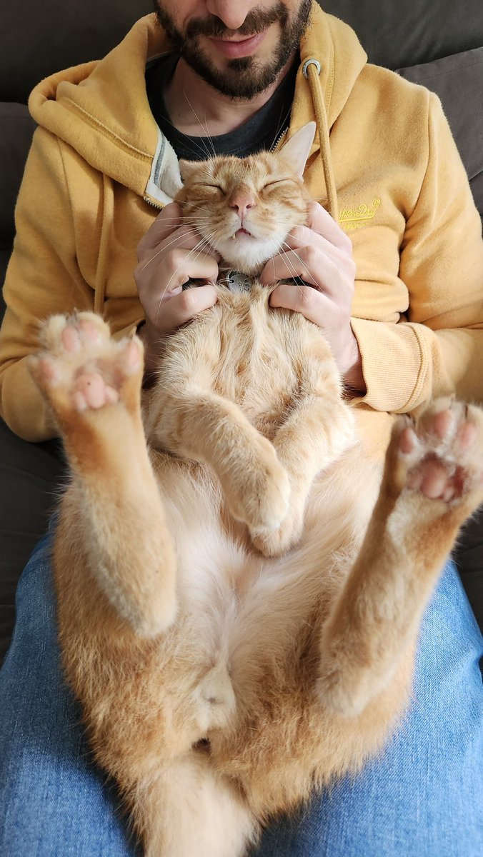 Hace 3 años, mi esposa encontró a este gatito.

“Flan” tenía apenas un día de vida. Estaba solo, hambriento y luchando por sobrevivir. Le trajimos a casa y con esfuerzo aprendimos a cuidarle y ayudarle a crecer.

Desde ese día, rescatamos más de 30 gatitos como Flan y trabajamos