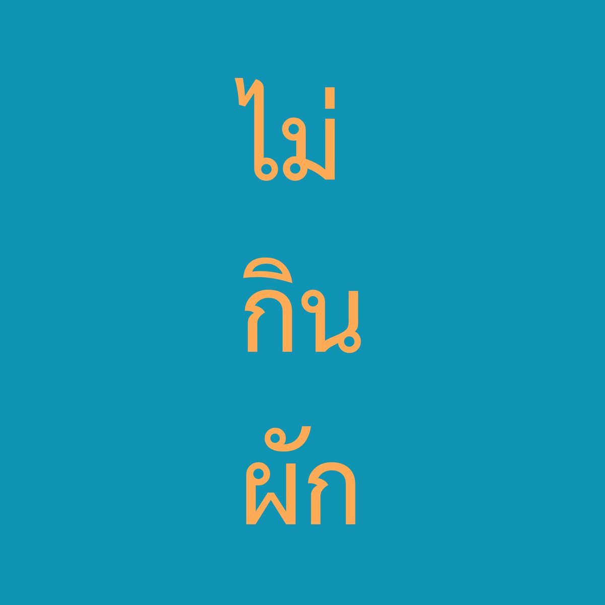 นิชาภาพ tweet media