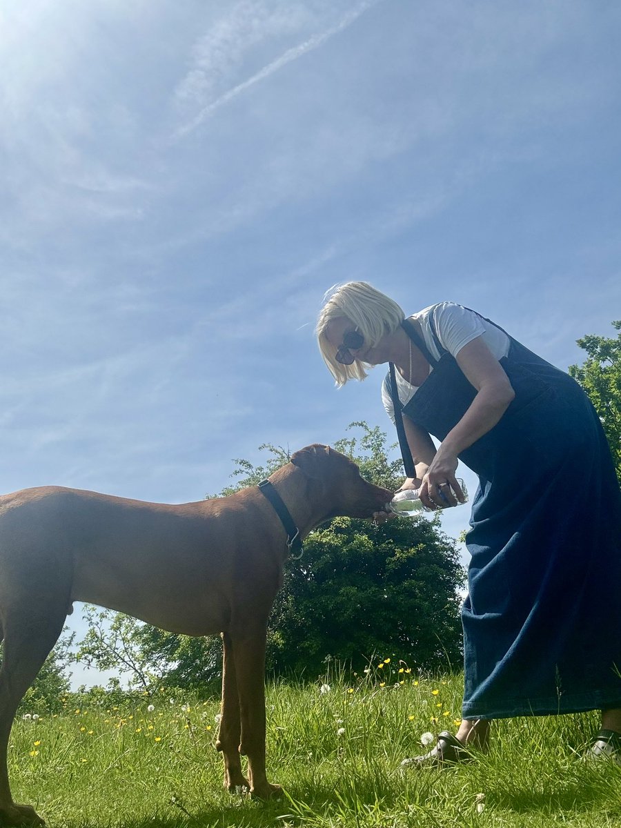 Glorious …. Lovely walk with Monty …