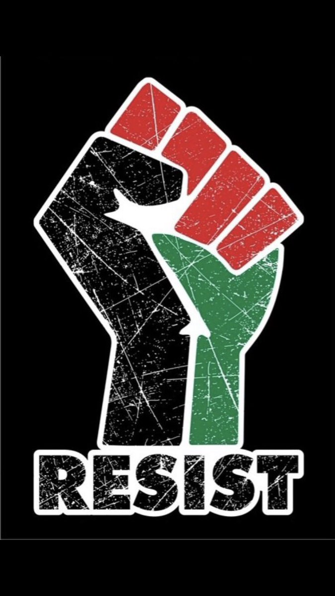 Nias 🇵🇸✊🏽🪶 (@nias881) on Twitter photo 