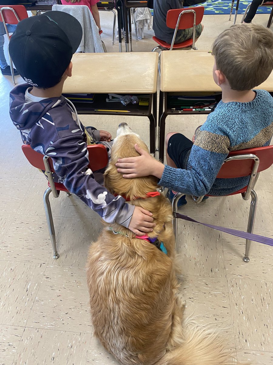 “I went back to work again today…visiting a couple different 3rd Grade classrooms. I made 3,754,679 new friends!” ❤️
—Sophie
#dogsoftwitter #BrooksHaven #grc #dogcelebration #GoldenRetriever #FluffyButtFriday @TherapyDogsInt #therapydog @peggyfrezon