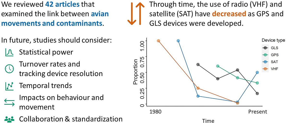 🚨HOT OFF THE PRESS🚨

"Spatial #ecotoxicology: what we know about the relationship between #avian movements and #contaminant levels"

We reviewed articles using tracking devices to examine the relationship between avian #movements and #contaminants

cdnsciencepub.com/doi/full/10.11…