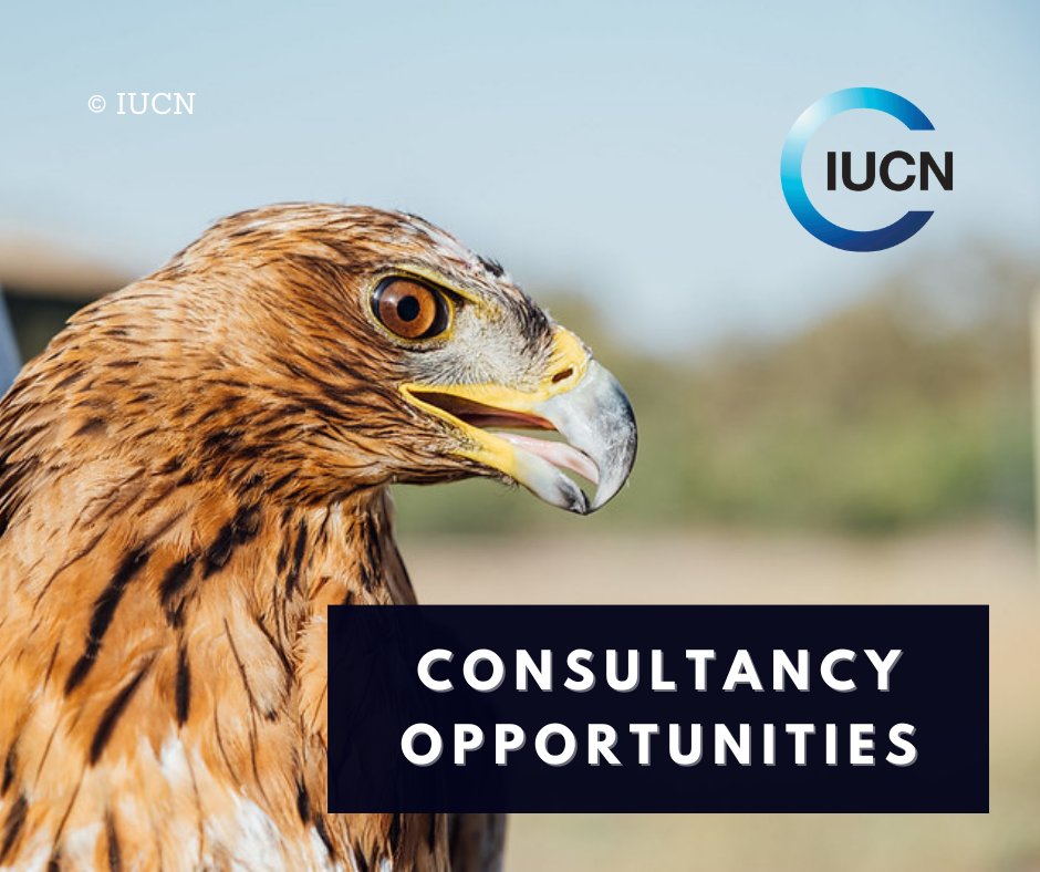 🔔 New #consultancy opportunities 1. Mediterranean Forest Week support 📅 15/05 🔗 bit.ly/3t4cfhi 2. Develop a Blue Carbon Strategy 📅 22/05 🔗 bit.ly/3e3q5vF 3. Biodiversity integration in #Mediterranean cities 📅 26/05 🔗 bit.ly/3eWgbfa #ApplyNow