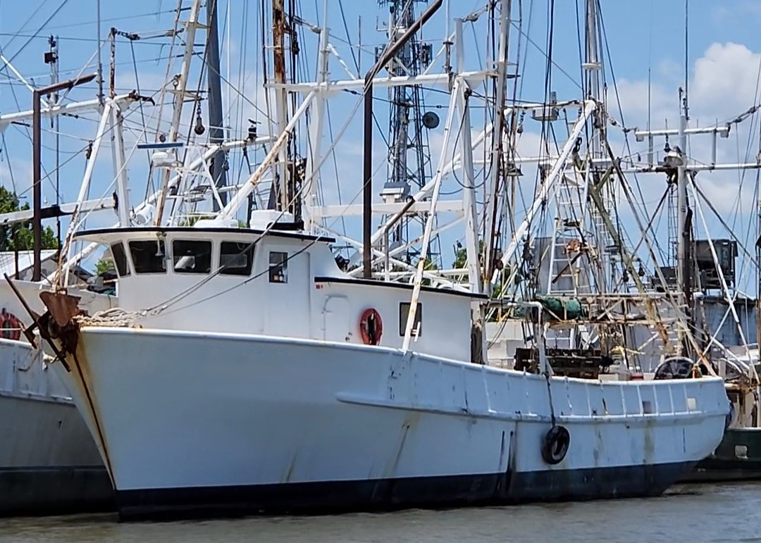 Did you know? @NOAAFisheries & partners are updating how we collect data on Gulf of Mexico shrimping effort. Learn how this will greatly increase the quality and efficiency of data collected: bit.ly/3RHIYYG #NationalShrimpDay 🦐