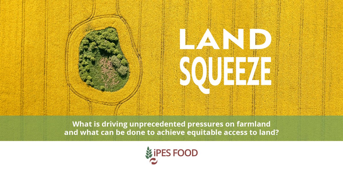 📢NEW REPORT JUST LAUNCHED 👉🌍👈#LandSqueeze We need to talk about #land! Our study shows land prices have doubled in 15 years. Land grabs are once again a major risk thanks to big finance & carbon schemes. Farmers & food production are at threat. ➡️ipes-food.org/report/land-sq…