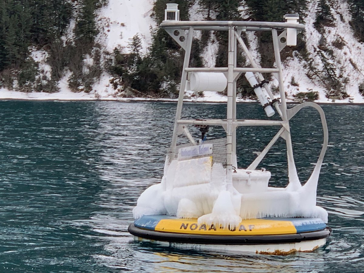 We have coral reef buoys, open ocean buoys, and frozen buoys!  🛟🌊🌐 
#OAinMay #MAPCO2 #GAKOA #FieldworkFriday
oceanacidification.noaa.gov/ocean-acidific…