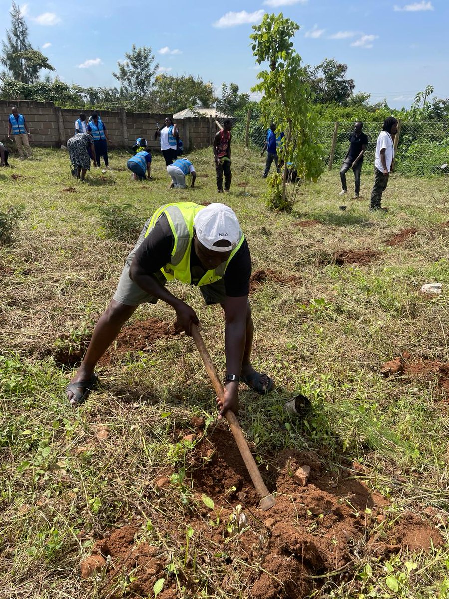 🌳 Kisumu going green thanks to our staff members.
Have you joined the #JazaMiti movement? 
#TreePlantingDay
#Towards15BillionTrees ^OS