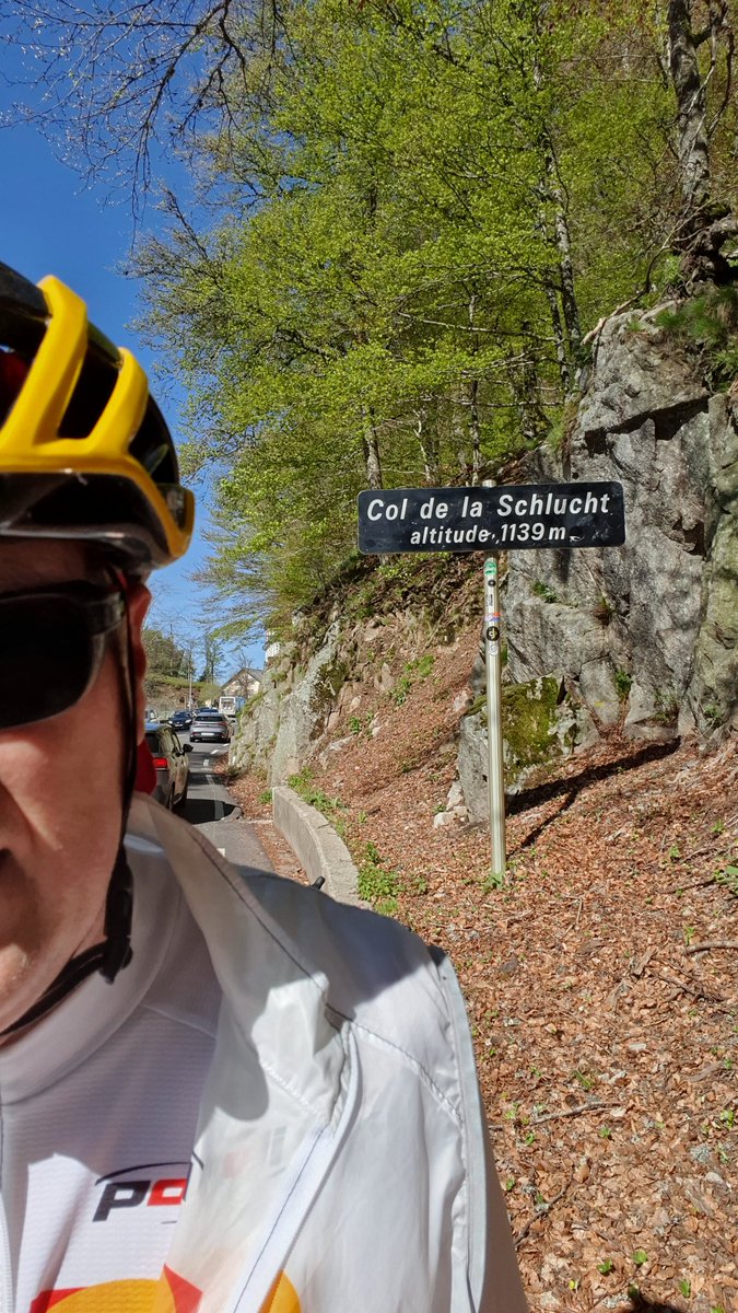 Biking between Vosges and Alsace under the 🌞, no better to clean your head!