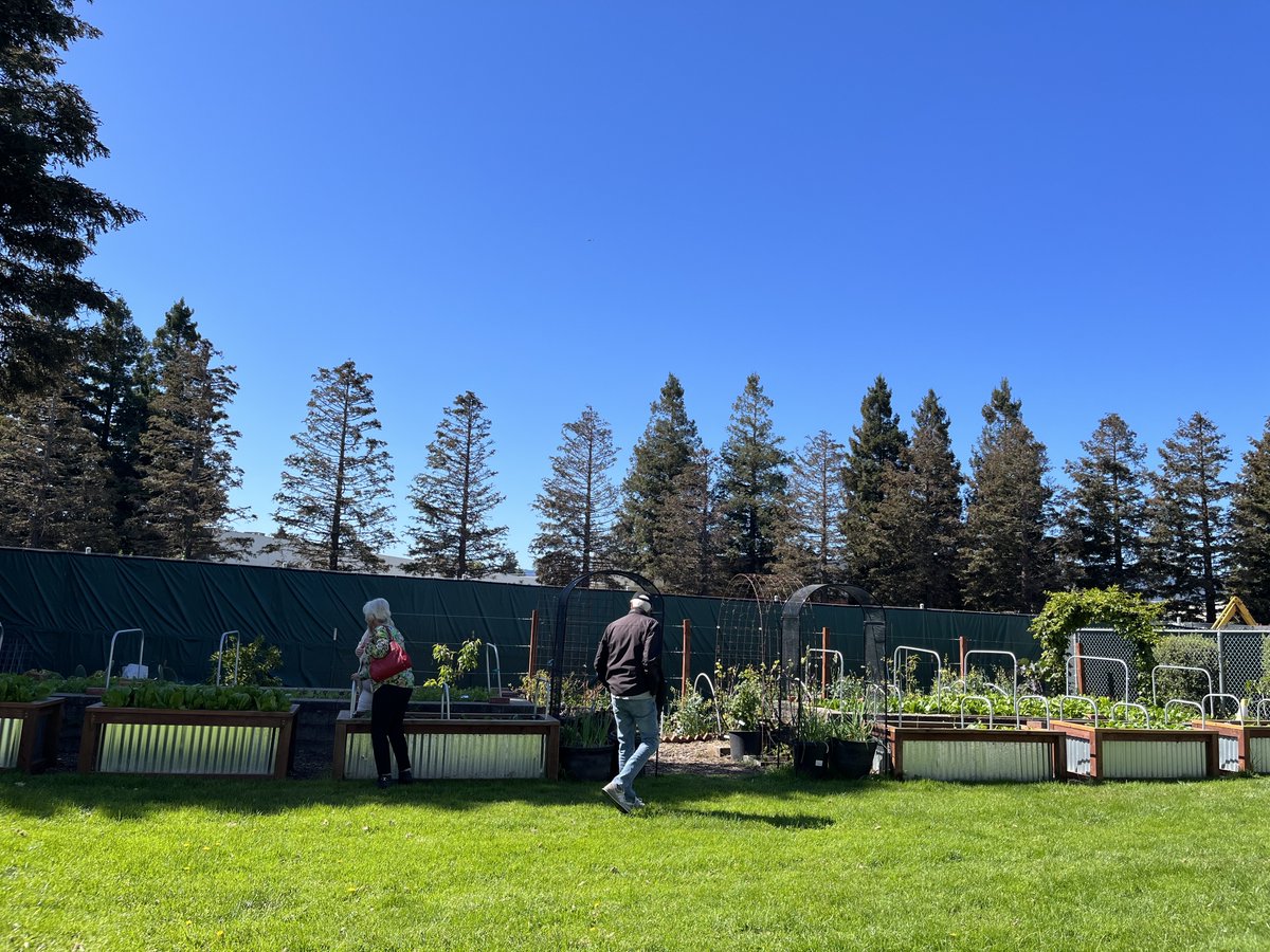 What a beautiful Spring day to tour the Fair Oaks Older Adult Center's garden. #redwoodcity #pfs #olderadult