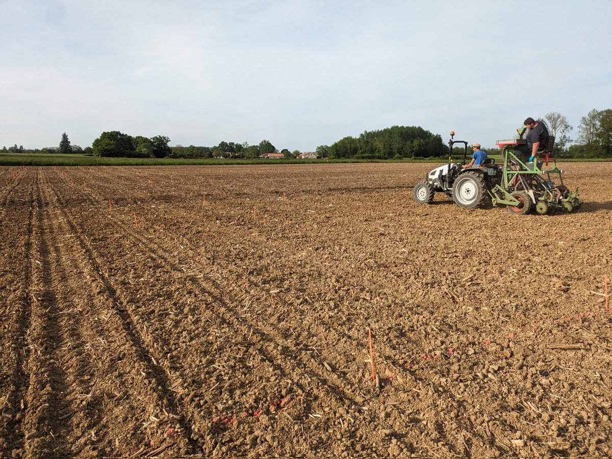 Delph Thévenet tweet media