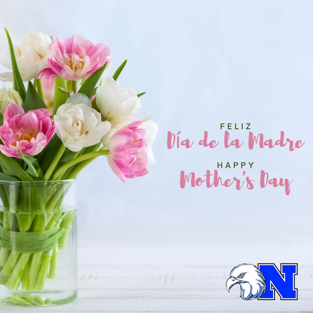 ¡Feliz Día de la Madre a todas las mamás y figuras maternas increíbles de NASD! Ya seas madre biológica, madrastra, madre adoptiva, abuela o cualquier persona que asuma el papel de madre, tu amor y dedicación marcan una gran diferencia.💐🩷🌟