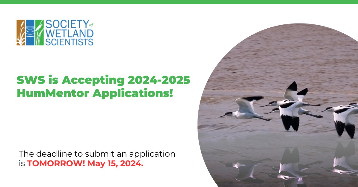 The deadline to apply for the 2024-2025 HumMentor Program is TOMORROW, May 15th. Presented by SWS International Chapter & Education Section, this program offers a transformative mentoring experience like no other. Learn more and apply: sws.org/hummentor/