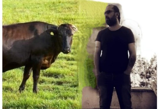 Ben olsam o fotoğraf yerine bir sığırla fotoğrafım olsun isterdim. Selçuk Tepeli 👏👏👏 @selcukktepeli #şaşırdıkmı