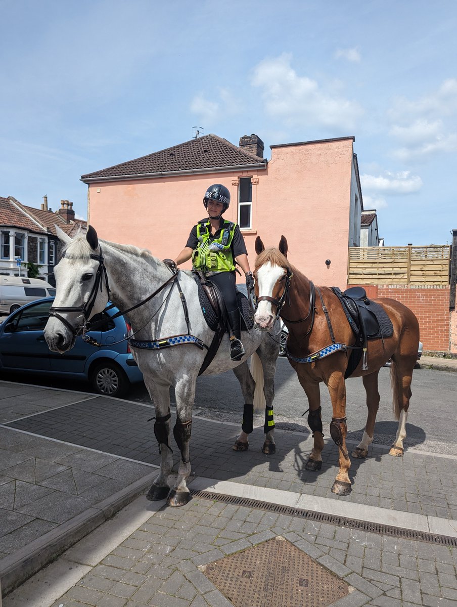 Sandford and Platinum have had a busy day in Easton. They have attended reports of drug dealing  and have seized a car that was suspected of being used for crime 🐴🦄🚗 #goodboys #mountedpatrols