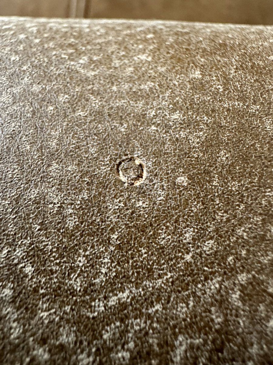 Gill Murray tweet media