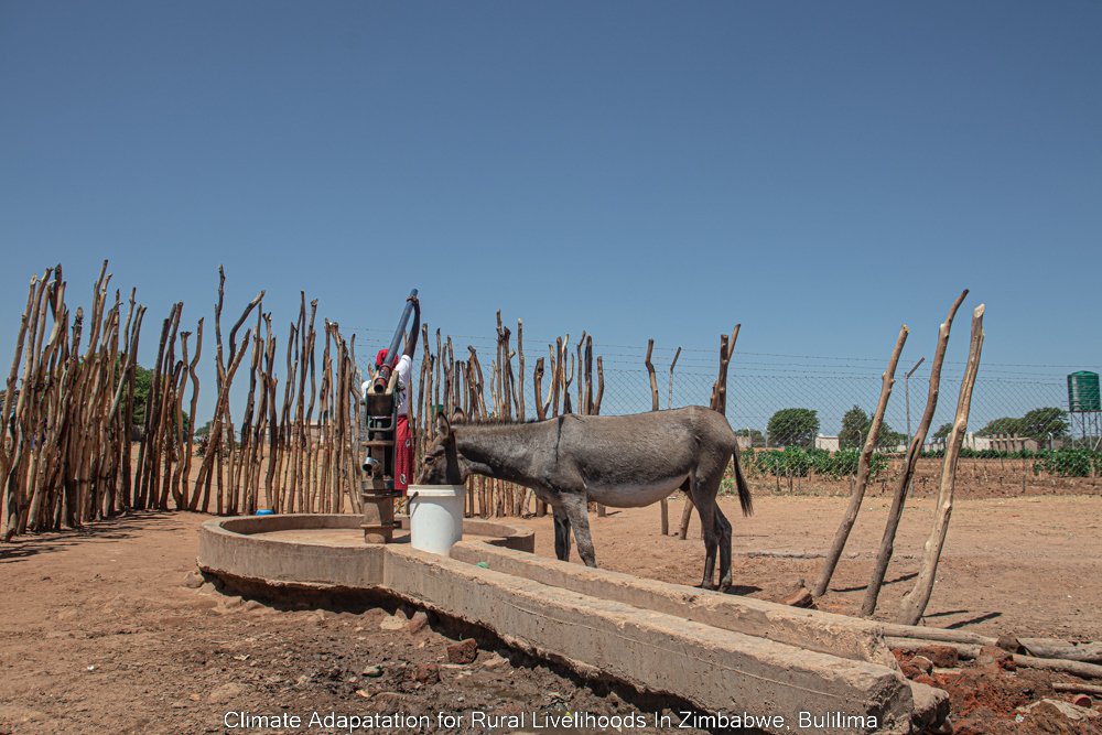 As the struggle for survival continues in the face of #ElNino, the scarcity of water resources has also intensified the competition between animals & people for this essential commodity. #Bulilima 📸 Khebesi. @KBMpofu inspired.