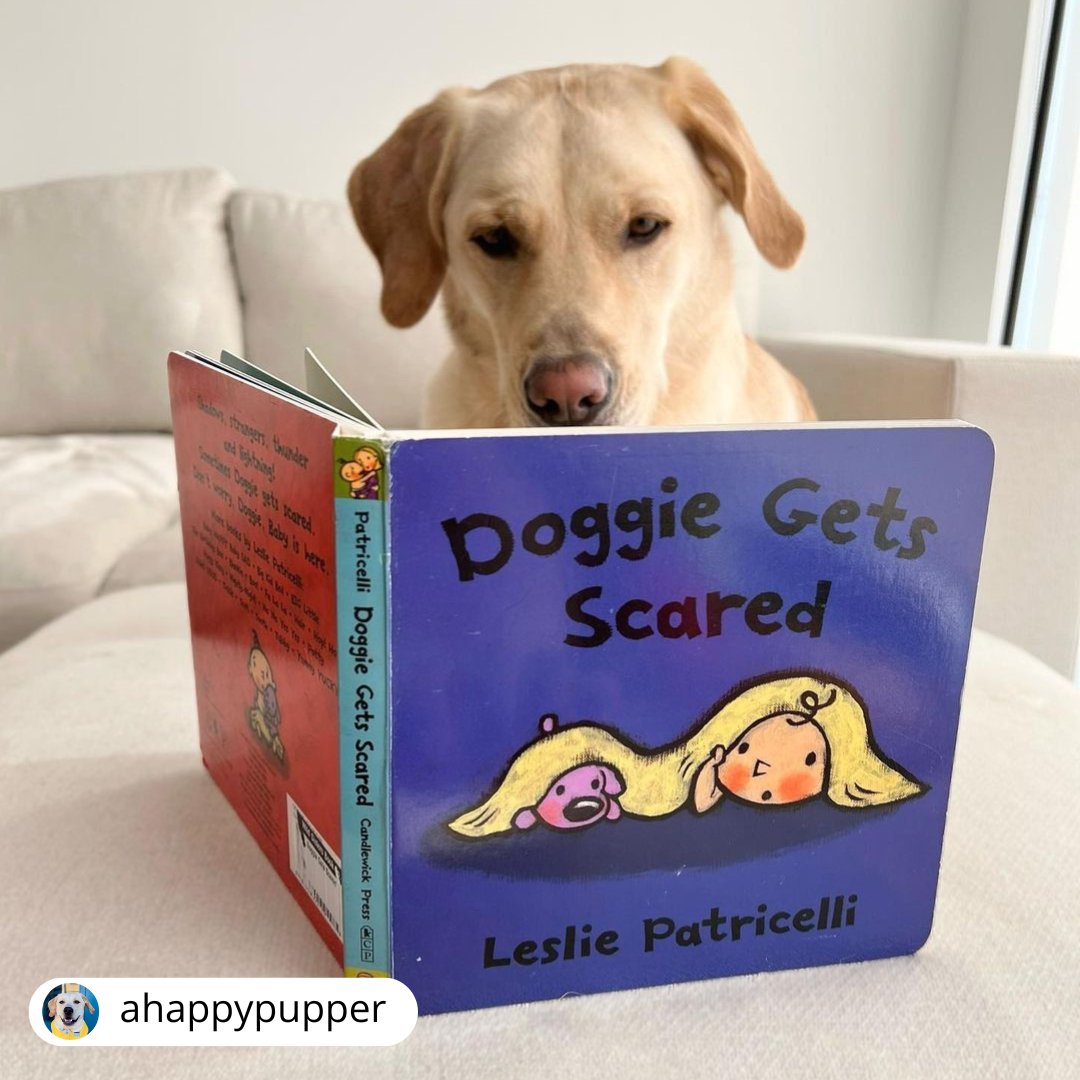 #Repost from ahappypupper on Instagram!

"Trying something new today…reading 👓 !  Da Easter bunny dropped off a lovely present from @wildchildwinston &amp; fam 🥹 they spoiled us with gifts and even got gifts for da baby that’s on da way! I can’t wait to munch on my treato later 😋