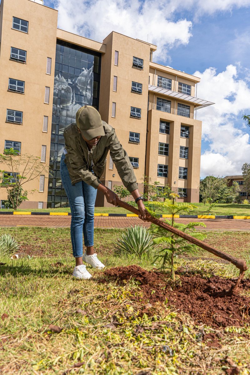 'The generation that destroys the environment is not the generation that pays the price.' - Wangari Maathai How many trees will you nurture over your lifetime? #NationalTreePlantingDay #GrowingAGreenerTomorrow #ClimateAction #INUAAIGoesGreen #RealizePossibilities #INUAAI
